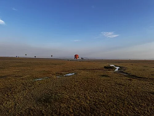Masai Mara water resources and wildlife from the balloon safari