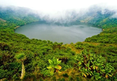 Experience the ultimate tranquility and serenity at the peak of Gahinga Volcano, where breathtaking views and crisp mountain air await.