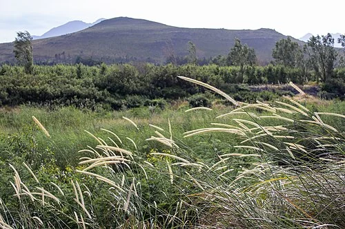 A picturesque landscape image of the beautiful Western Cape (South-Africa)