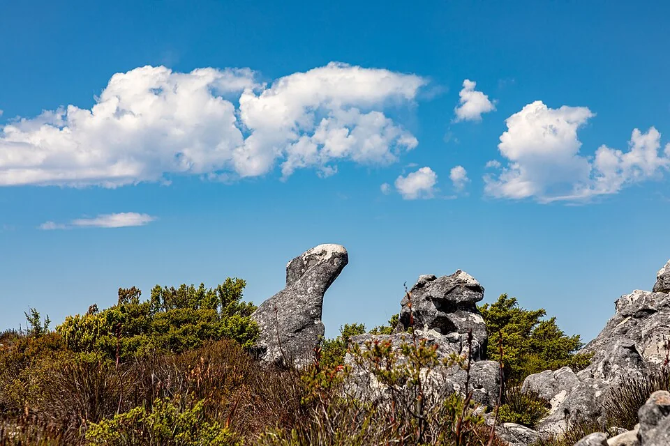 Cape Town (ZA), Table Mountain -- 2024 -- 2822