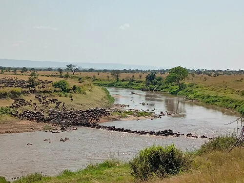 Nature's masterpiece is that every year the plains of East Africa are home to the world's greatest wildlife spectacles movement, whereby more than 1.4 million wildebeest and?