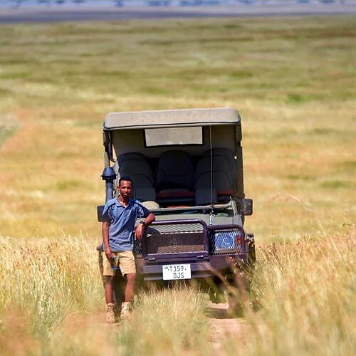 Open vehicle game driving in northern Serengeti