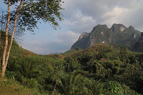 Karst limestone formations in Khao Sok National Park, Surat Thani, Thailand.