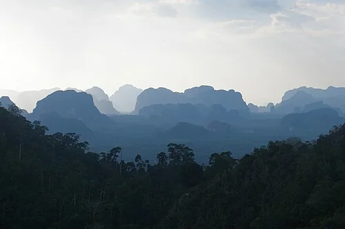 The ethereal karst landscape in Krabi has been formed from limestone (originally coral reefs hundreds of millions of years ago) where acidic water has dissolved the bedrock.?
