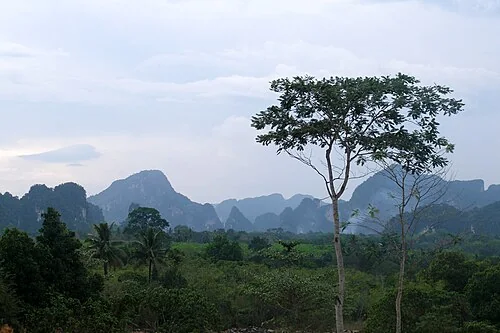 Ancient limestone landscape of Krabi. The tower karst in Krabi is developed in massive Permian limestone and dolomitic limestone of the Ratburi Group. Two varieties of tower?