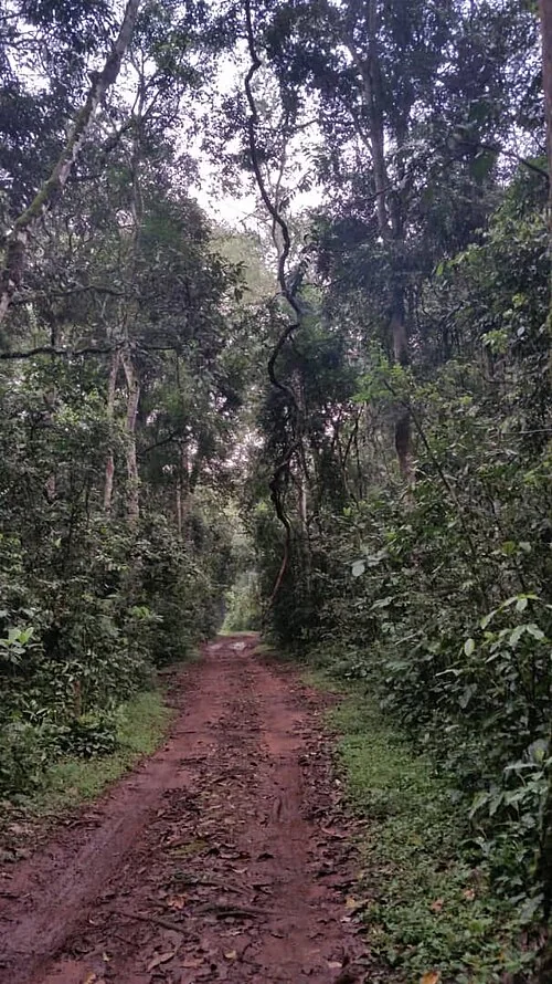Uganda Wildlife Conservation Centre Entebbe
