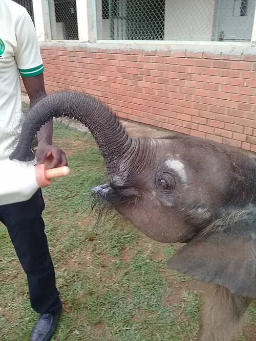 Uganda Wildlife Conservation Centre Entebbe