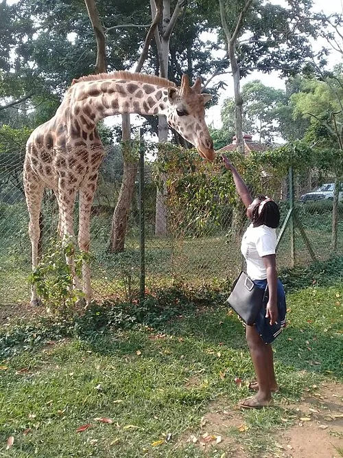 Uganda Wildlife Conservation Centre Entebbe