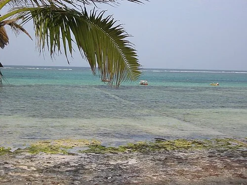 Beach on Zanzibar's east coast, Tanzania.Beachfront, east coast