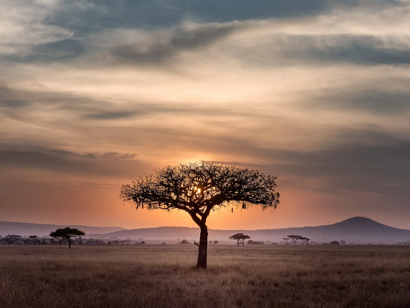 Luxury safari experience beneath an African sunset
