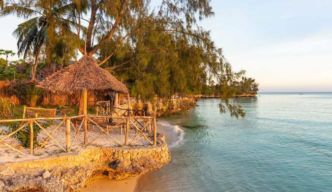 Palm-lined beach on Zanzibar