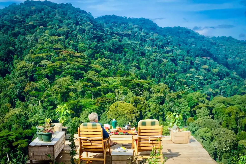 Bwindi forest landscape in Uganda